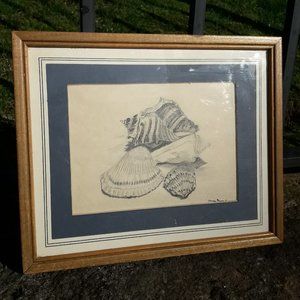 Vintage Artist Drawing Beach Themed Framed Art Sea Shells Ocean Nautical 1977